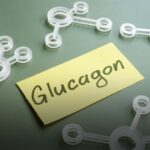 Glucagon e Insulina: Como Funcionam e Sua Importância para o Controle da Diabetes