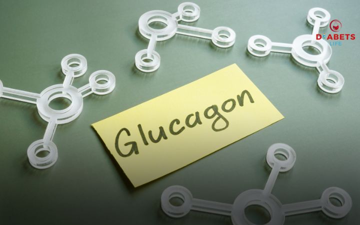 Ilustração das funções de glucagon e insulina no controle da glicose