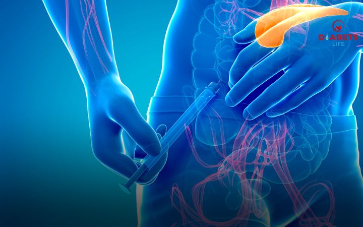 Infográfico das funções do glucagon e insulina no corpo humano - diabetslife